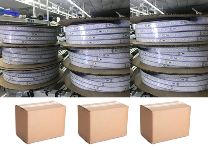 Medidores leves de néon do diodo emissor de luz do silicone de DC12V SMD2835 5050 RGB 5/carretel 4