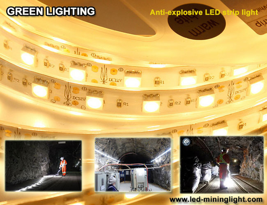 A tira 1500 flexível do diodo emissor de luz do anti lum explsoive 60pcs impermeável conduziu cada medidor