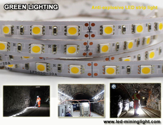 A tira 1500 flexível do diodo emissor de luz do anti lum explsoive 60pcs impermeável conduziu cada medidor