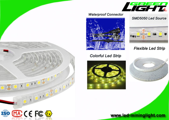As luzes de tira conduzidas exteriores da segurança profissional com 60Leds/M, ateiam fogo - a resistente