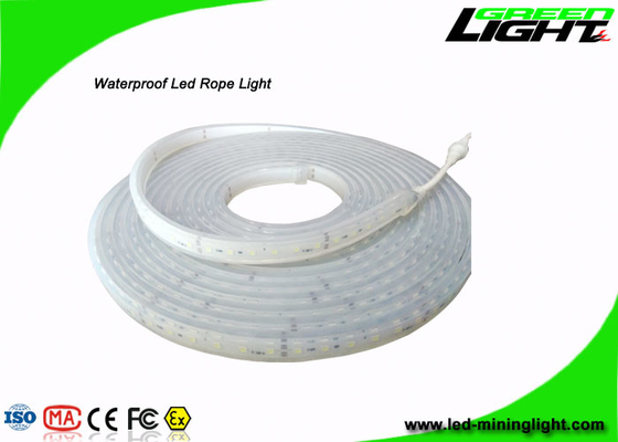 As luzes de tira conduzidas exteriores da segurança profissional com 60Leds/M, ateiam fogo - a resistente