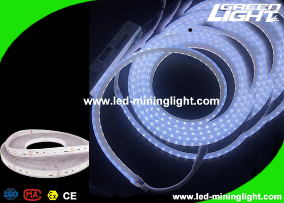 O subterrâneo industrial branco fresco do brilho alto conduziu luzes de tira diodo emissor de luz de 24 volts 300 garantia de 1 ano