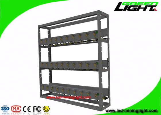 Segurança alta de carregamento clara carbonosa da cremalheira com 8 unidades por lateral modular