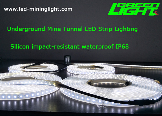 Economia de energia IP68 impermeável flexível da C.C. 24V das luzes de tira do diodo emissor de luz da escala padrão do silicone