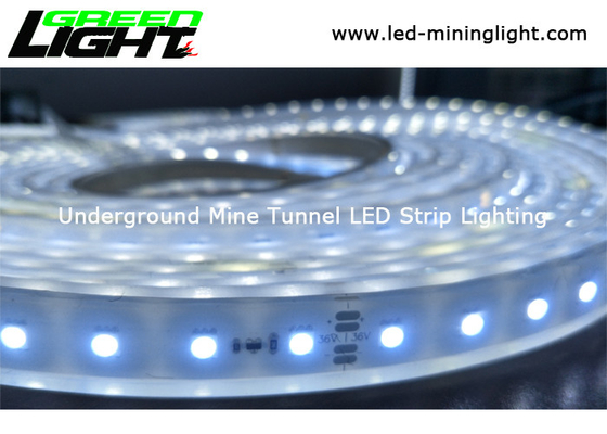 Economia de energia IP68 impermeável flexível da C.C. 24V das luzes de tira do diodo emissor de luz da escala padrão do silicone