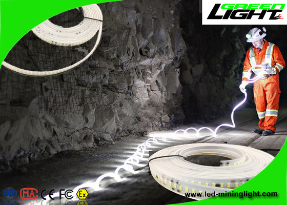 Diodo emissor de luz flexível impermeável das luzes de tira 24v do diodo emissor de luz 60 pelo medidor com garantia de 1 ano