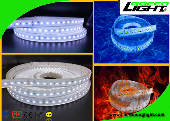 Diodo emissor de luz flexível impermeável das luzes de tira 24v do diodo emissor de luz 60 pelo medidor com garantia de 1 ano