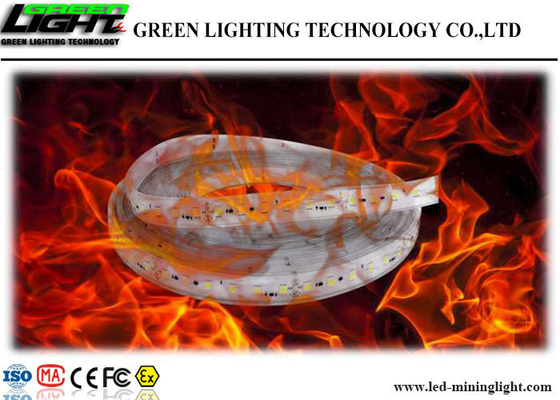 Anti choque flexível explosivo da C.C. 24V das luzes de tira do diodo emissor de luz resistente com gel de silicone