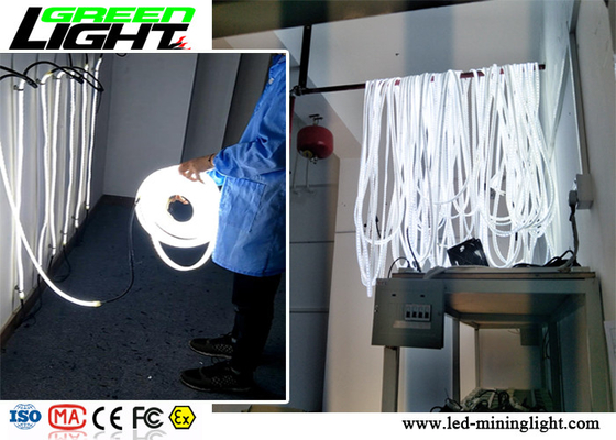 A fita conduzida branca morna da tira ilumina 60 diodos emissores de luz SMD5050 para iluminação perigosa/segura da área