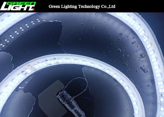 A fita do diodo emissor de luz da fileira do dobro de SMD5050 144LEDs ilumina 2000lum/m brancos mornos