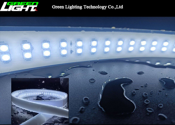 Luz de tira dupla 12W/M do silicone do diodo emissor de luz da fileira 6500k SMD5050