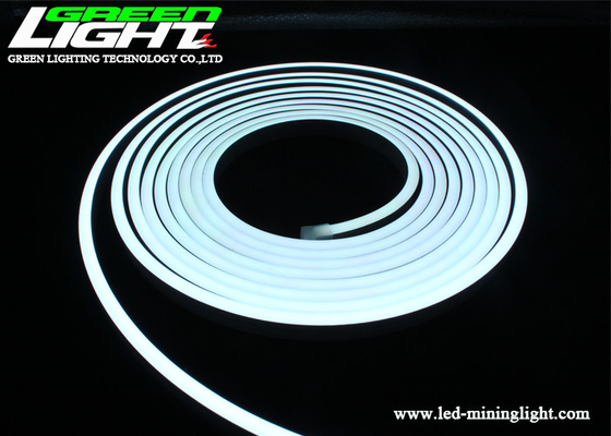 Luz de néon 12VDC da corda do diodo emissor de luz de 4200K 12W/M RGB para exterior