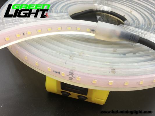 Luzes de tira conduzidas impermeáveis 12V de IP68 6500K SMD5050 RGB ATEX
